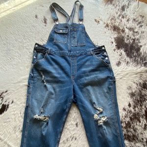 PILCRO overalls sz 22